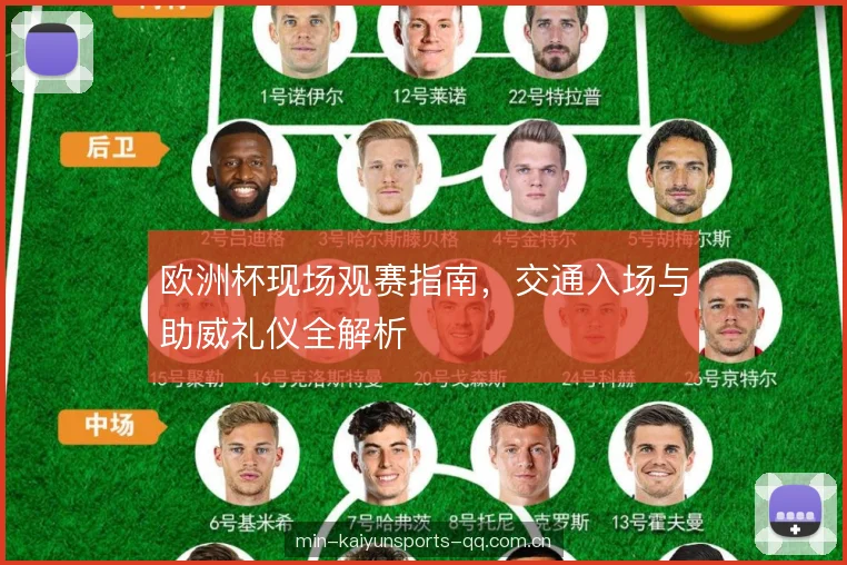 欧洲杯现场观赛指南，交通入场与助威礼仪全解析